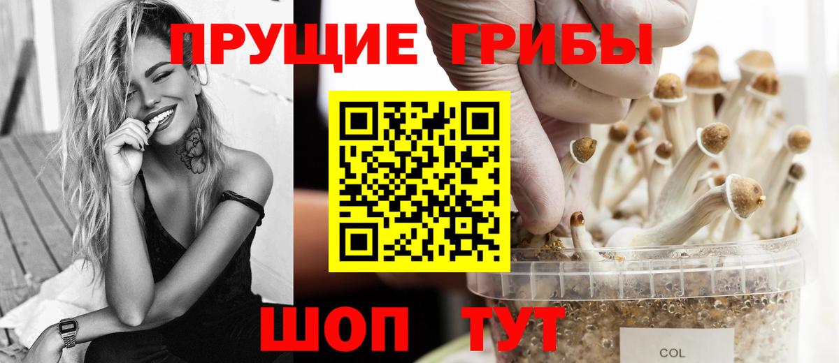 Торжок  Галлюциногенные грибы мицелий  Вход с VPN 
